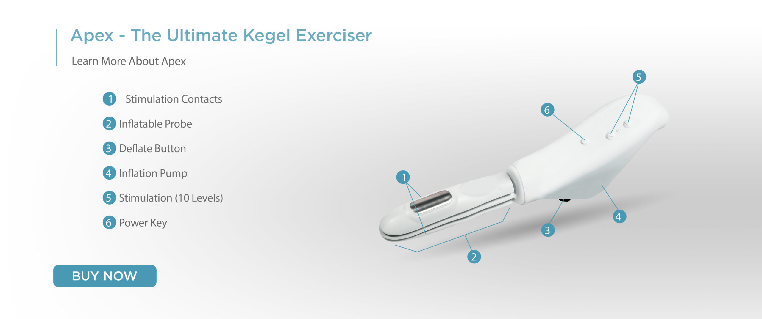 apex ultimage kegel exer scaled apex ultimage kegel exer scaled