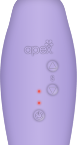 Apex_Top_500 Apex_Top_500
