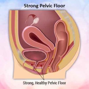 strong pelvic floor min 300x300 Strong pelvic floor